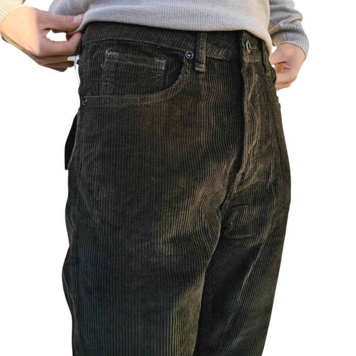 Pantalone uomo GIANNI LUPO mod. Cooper carrot fit in velluto a costine